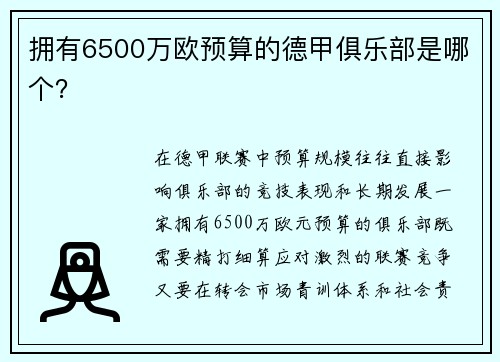 拥有6500万欧预算的德甲俱乐部是哪个？