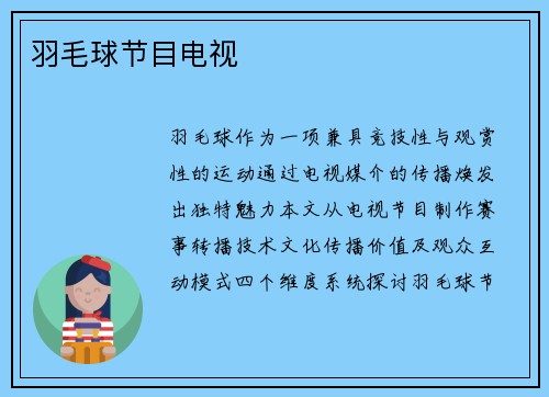 羽毛球节目电视