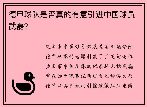 德甲球队是否真的有意引进中国球员武磊？